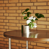 Ross Coffee Table by Finn Juhl