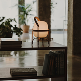 Cestita Batería Cordless Table Lamp