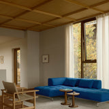 Delphi Elements